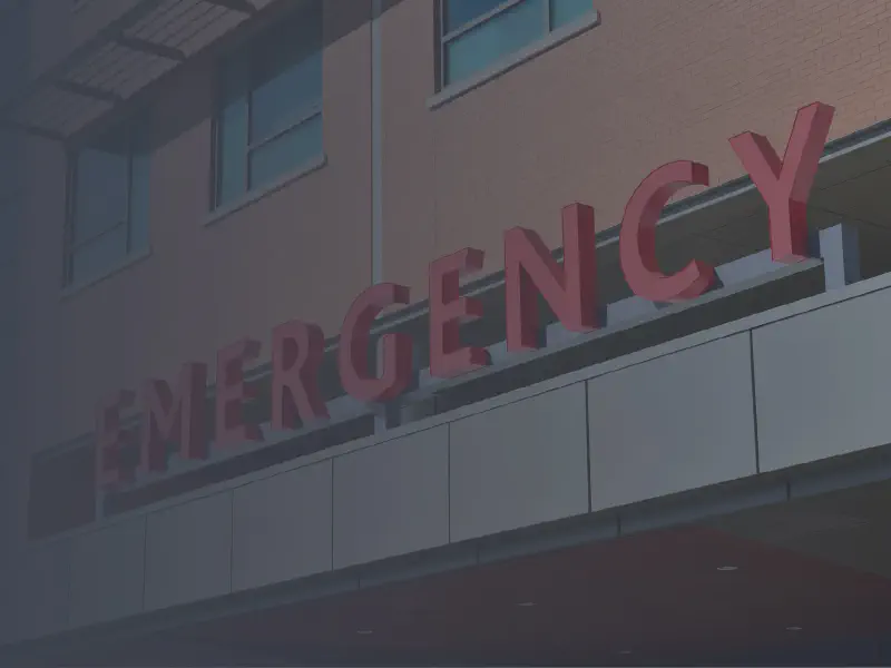 Healthcare Services trends