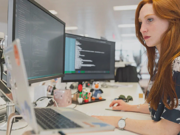 Software Development